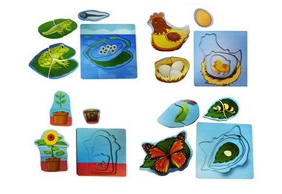 Rompecabezas Niveles Progresivos