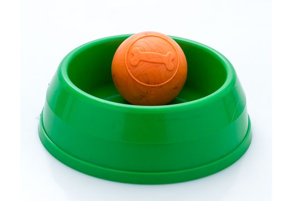 Kit Comedero Semi Pesado Gigante + Pelota Grande